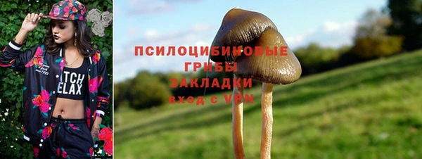 Альфа ПВП Алзамай