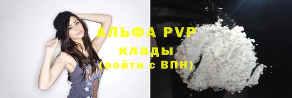 спиды Абаза