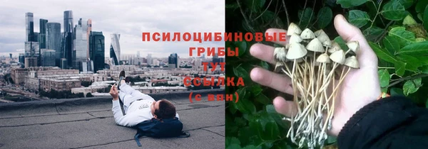 ПСИЛОЦИБИНОВЫЕ ГРИБЫ Алексин