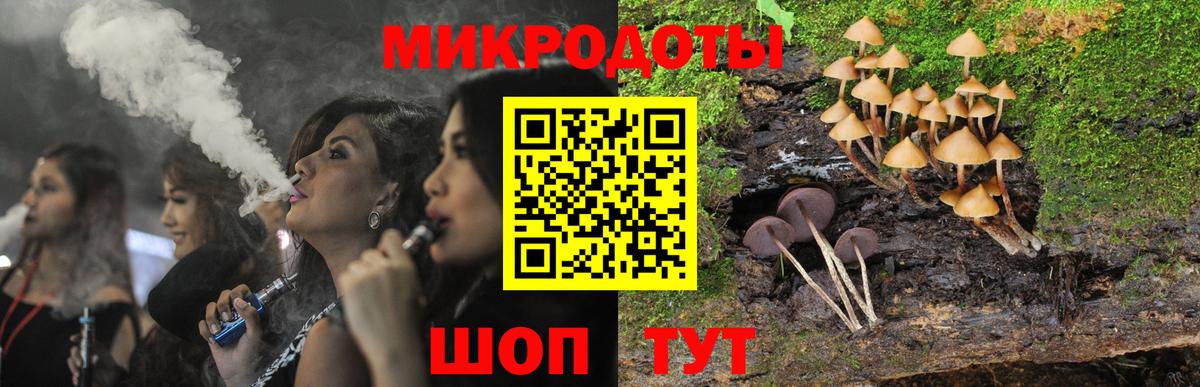 Галлюциногенные грибы GOLDEN TEACHER  Вход с VPN  Псилоцибиновые грибы Magic Shrooms  Тулун 