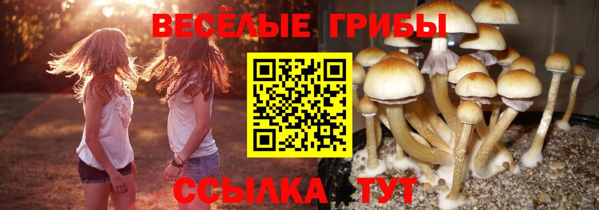 Галлюциногенные грибы GOLDEN TEACHER Тулун